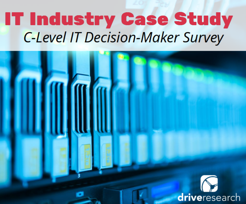 c-level it decision maker survey
