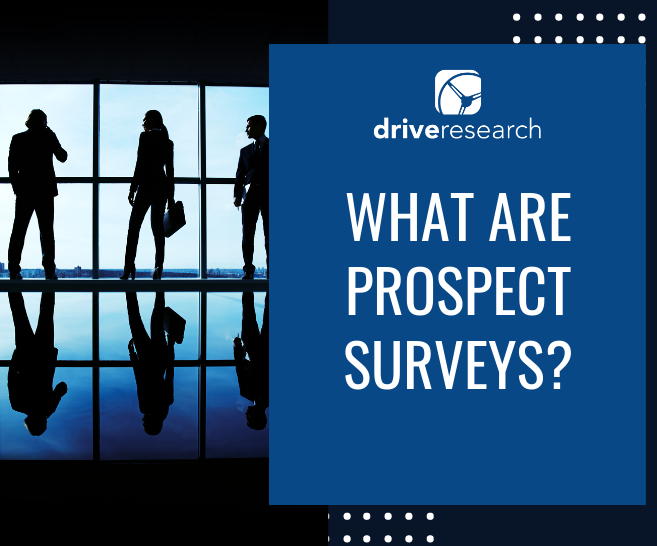 What are Prospect Surveys? | Online Survey Company