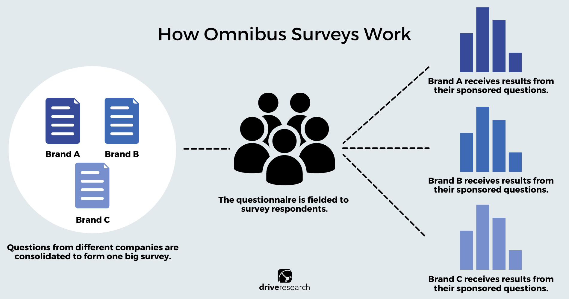 How Omnibus Surveys Work Graphic