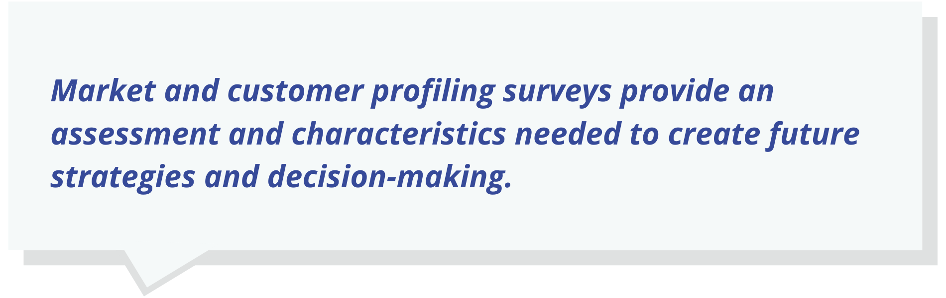 Market and customer profiling surveys provide an assessment and characteristics needed to create future strategies and decision-making.