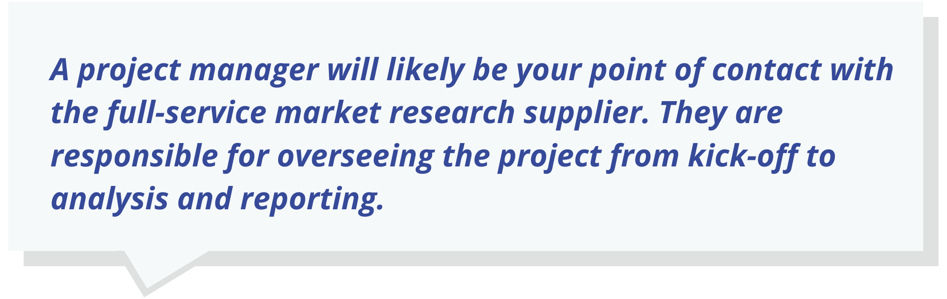A project manager will likely be your point of contact with the full-service market research supplier. They are responsible for overseeing the project from kick-off to analysis and reporting.