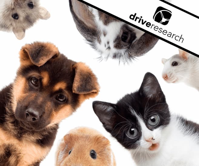 Blog: 30+ Pet Adoption Statistics In 2024 (+ Our Findings)