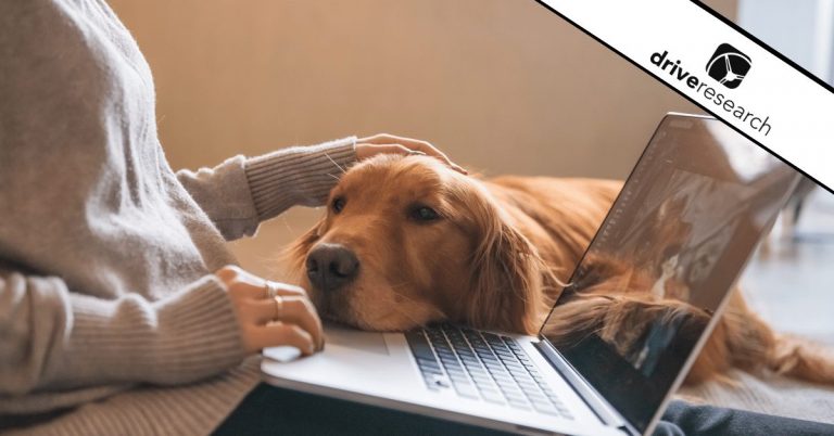 Golden retriever resting head on laptop