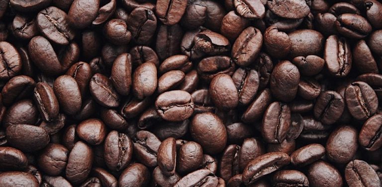 Coffee beans close up