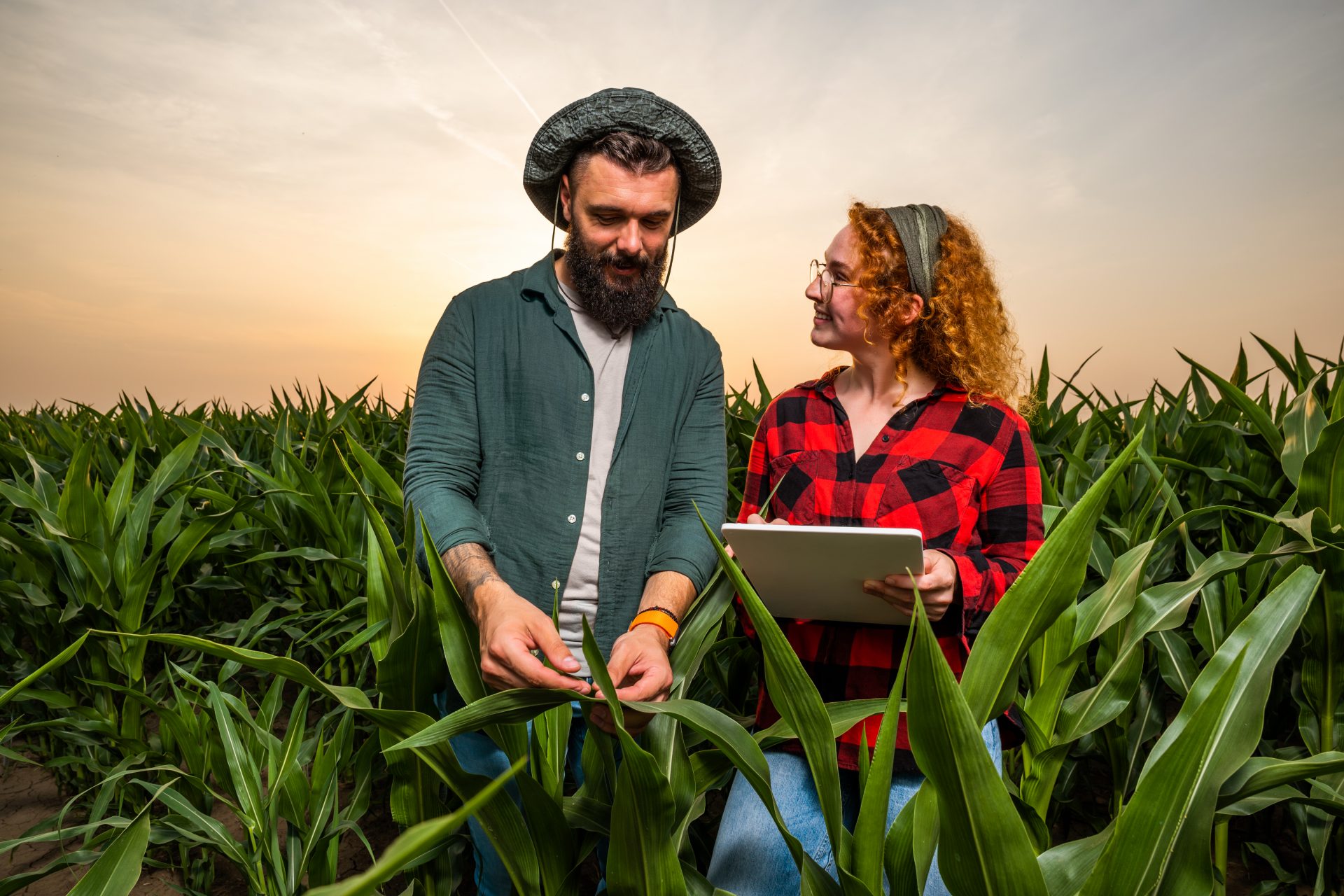 Female and male in Agriculture field