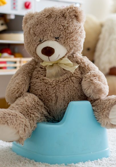 Teddy bear on training toilet